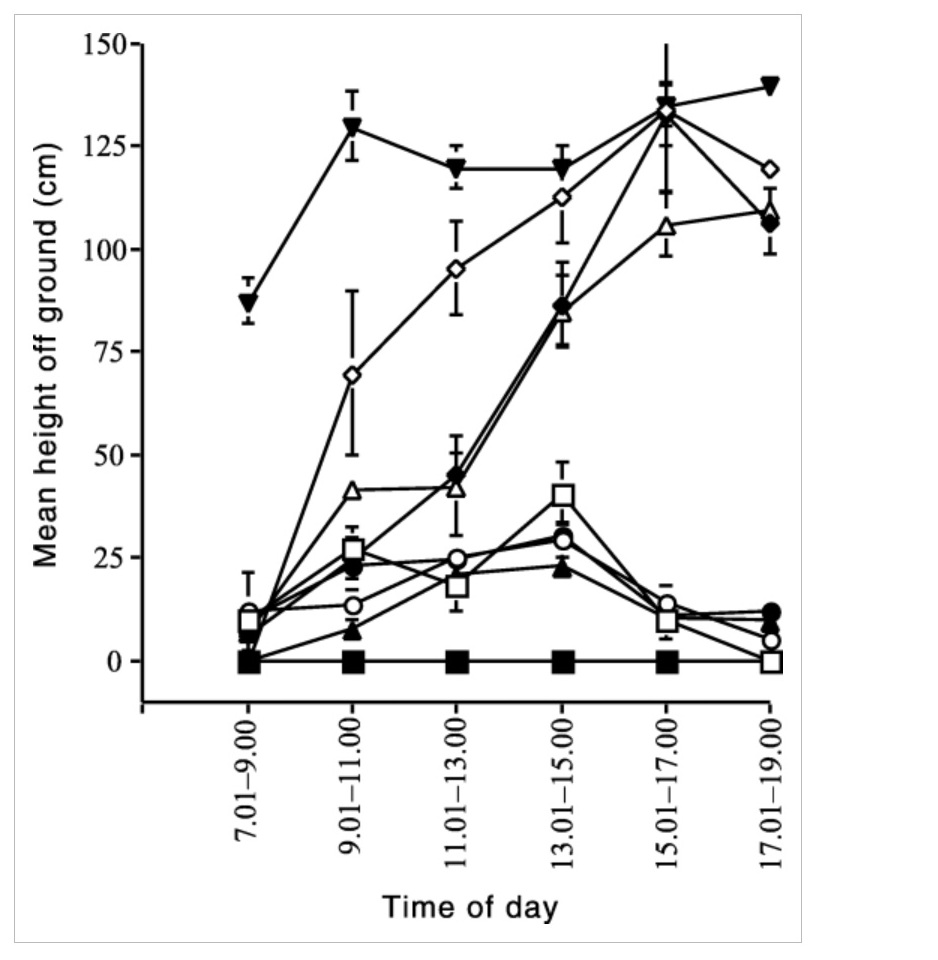 Mean perch height of various lizard species by time of day